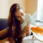 The Silent Companions: A Guide to Pet Fish