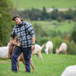 Tiny Herds, Huge Hearts: A Guide to Keeping Pet Goats