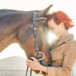 The Noble Equine: A Partnership Through the Ages