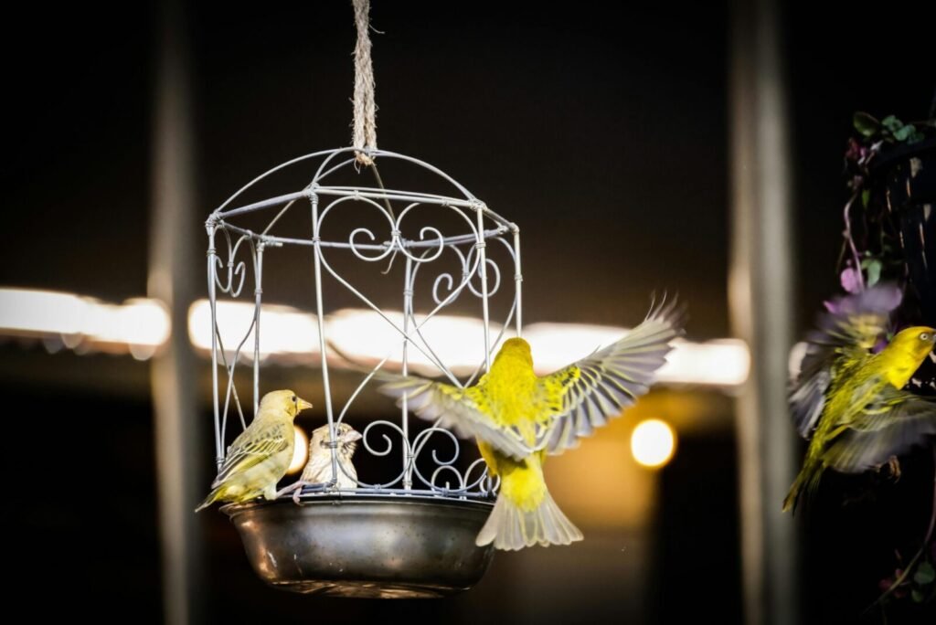 Three vibrant yellow birds feeding in a decorative metal cage, captured at night.