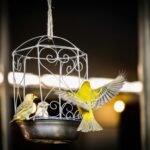 Three vibrant yellow birds feeding in a decorative metal cage, captured at night.