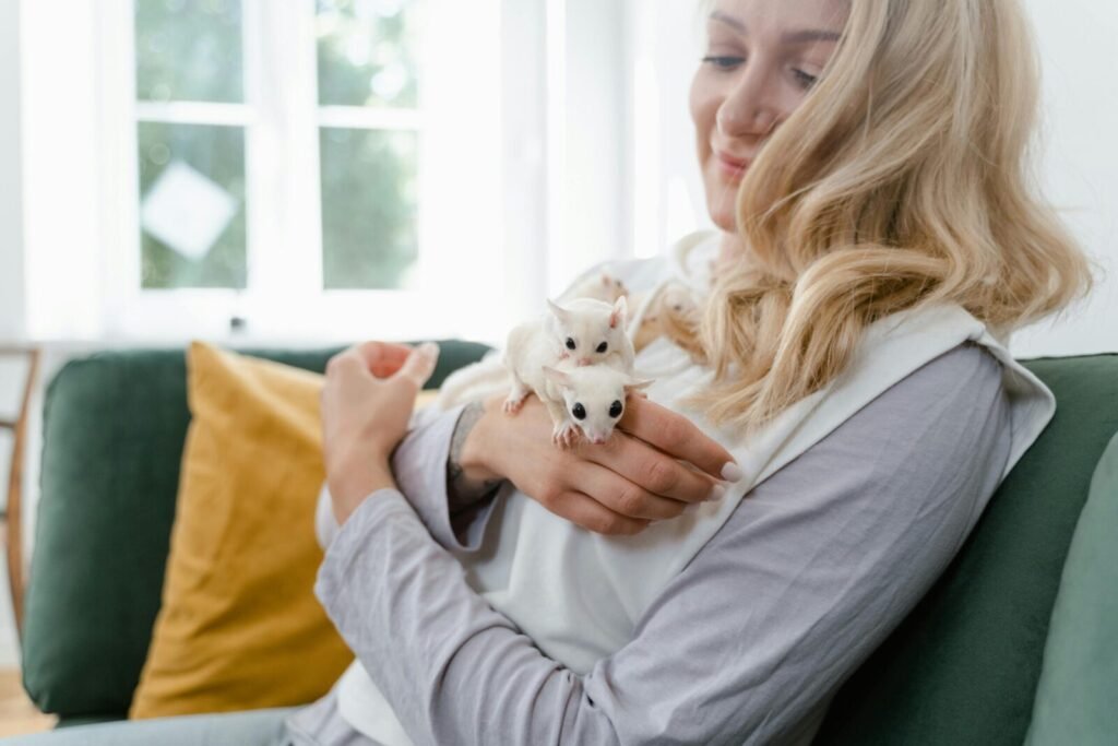 Woman holding sugar gliders on the sofa indoors.