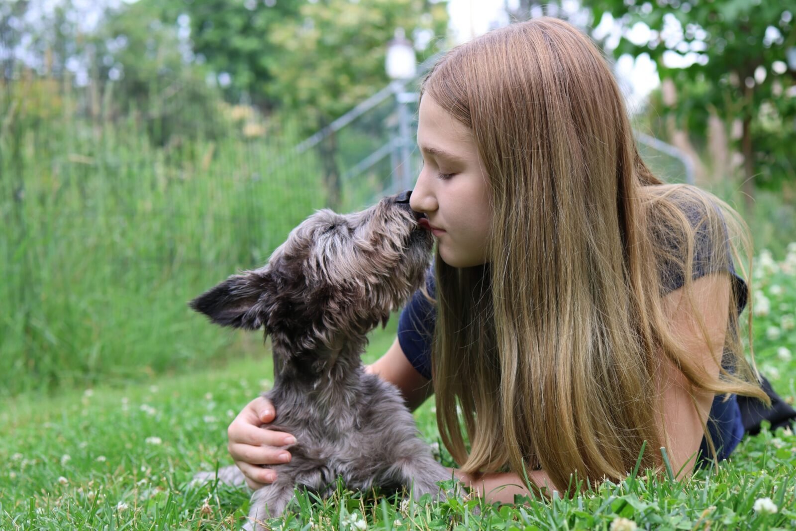 A young girl and her terrier share a touching moment in a sunlit field, Burnsville, Minnesota.